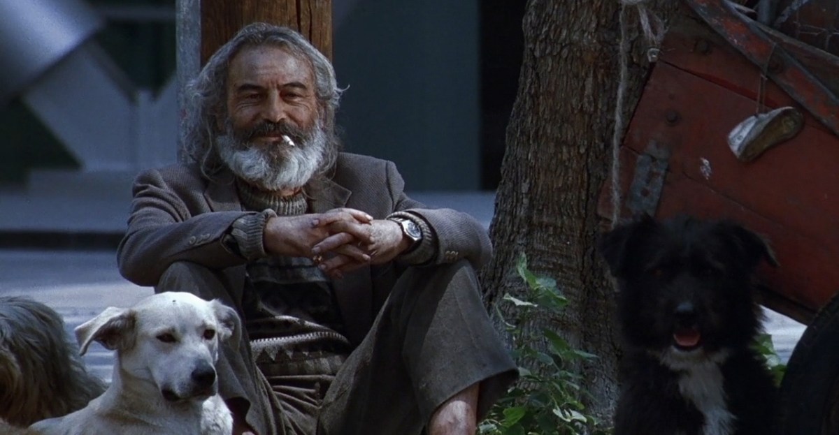 'Amores perros' de Alejandro González Iñárritu se suma a la Criterion Collection