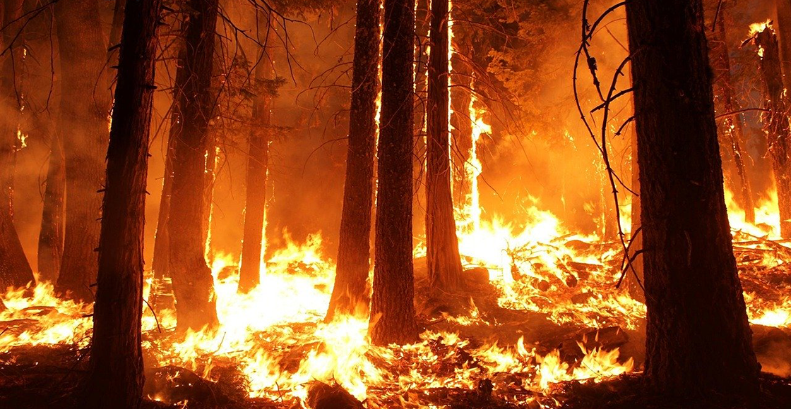 Pareja causa un incendio forestal por organizar una fiesta de revelación de género