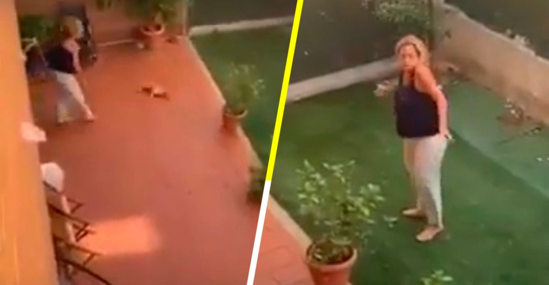 Mujer arroja contra el suelo a su perrita por hacer sus necesidades dentro de la casa