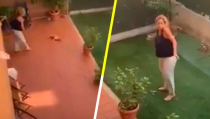 Mujer arroja contra el suelo a su perrita por hacer sus necesidades dentro de la casa