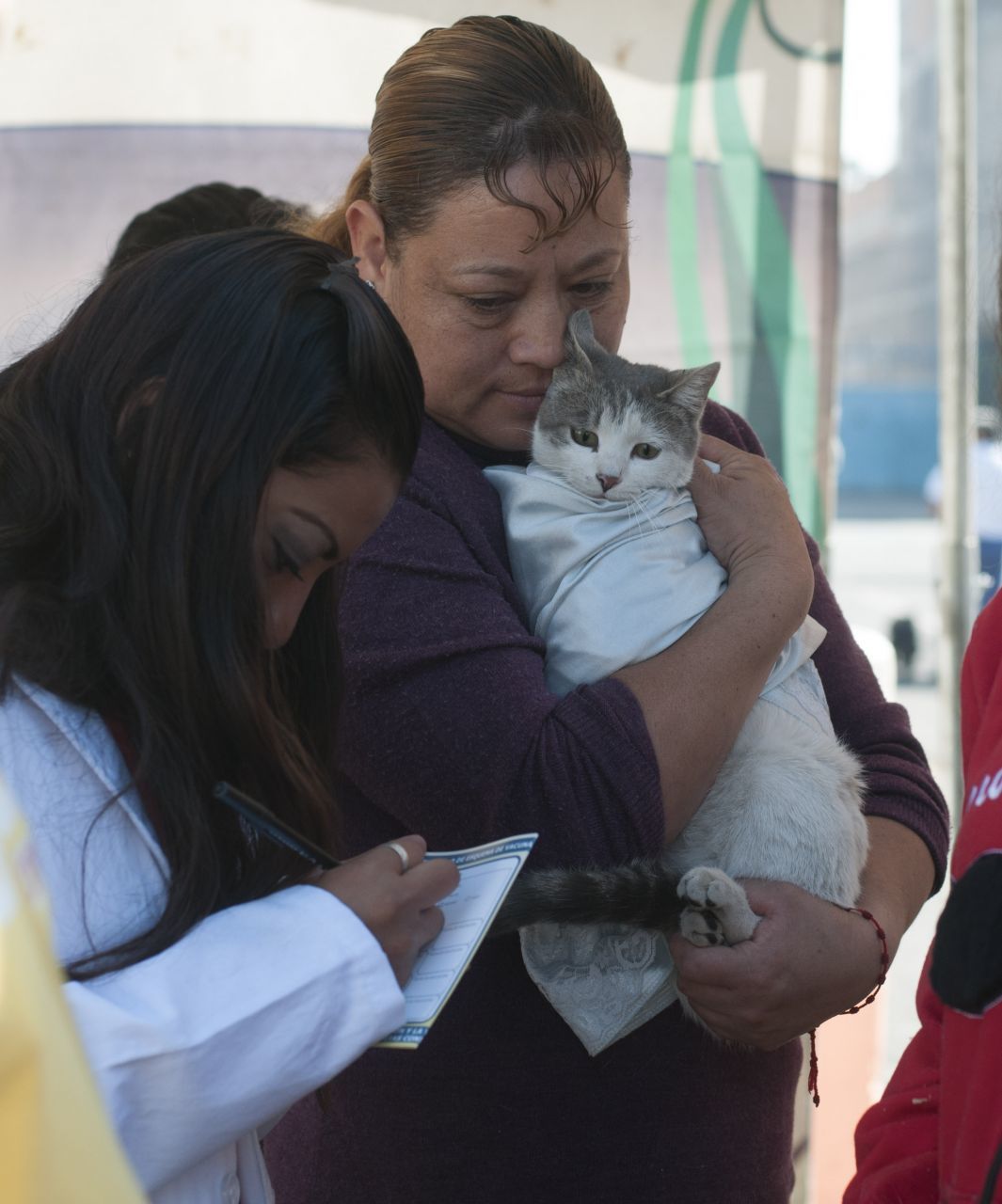 vacuna-rabia-gato-cdmx