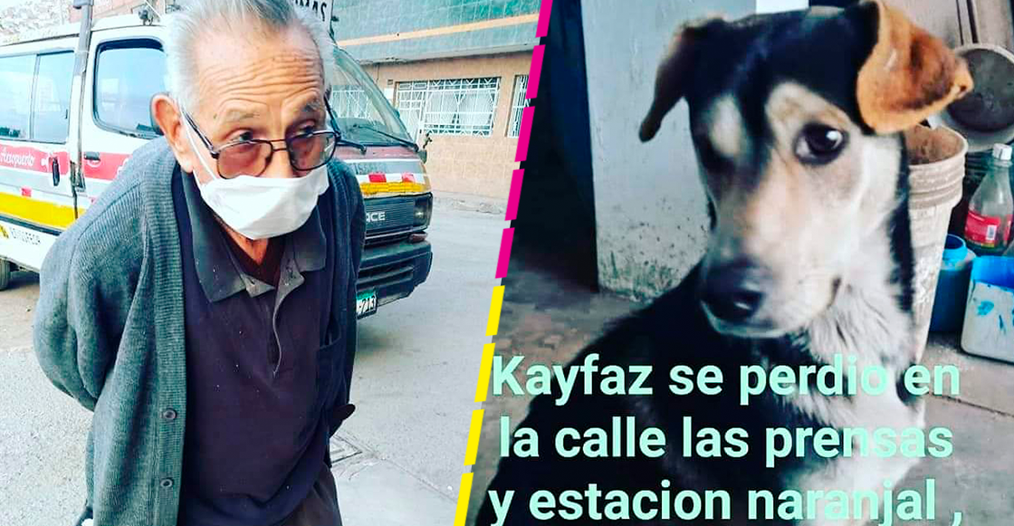 No se da por vencido: Abuelito de 84 años camina por las calles buscando a su perrito