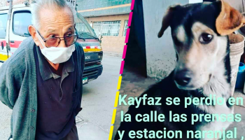 No se da por vencido: Abuelito de 84 años camina por las calles buscando a su perrito