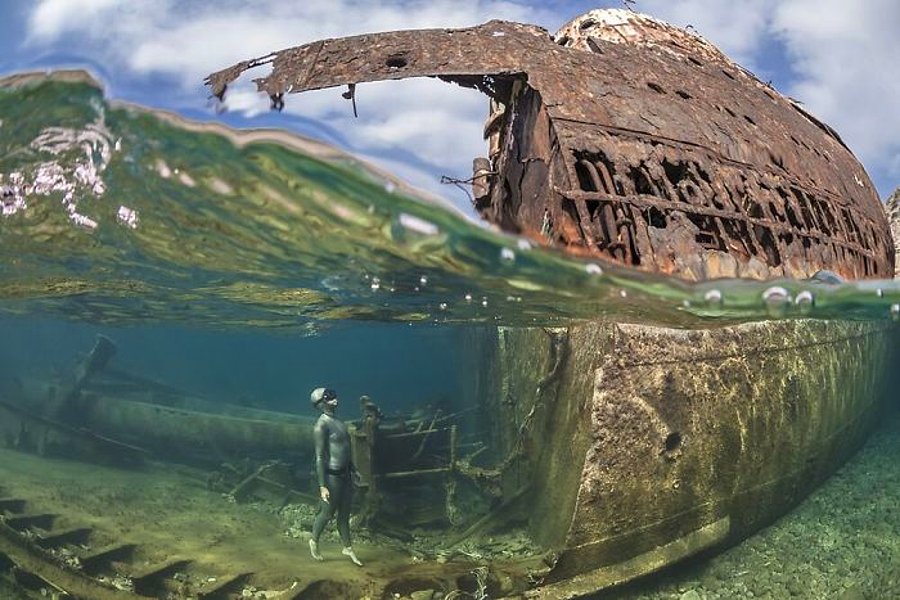 Las mejores fotografías submarinas del concurso ‘Trough Your Lens’ 2020