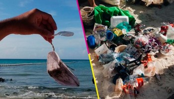 basura-cancun-playas-recoleccion-cubrebocas