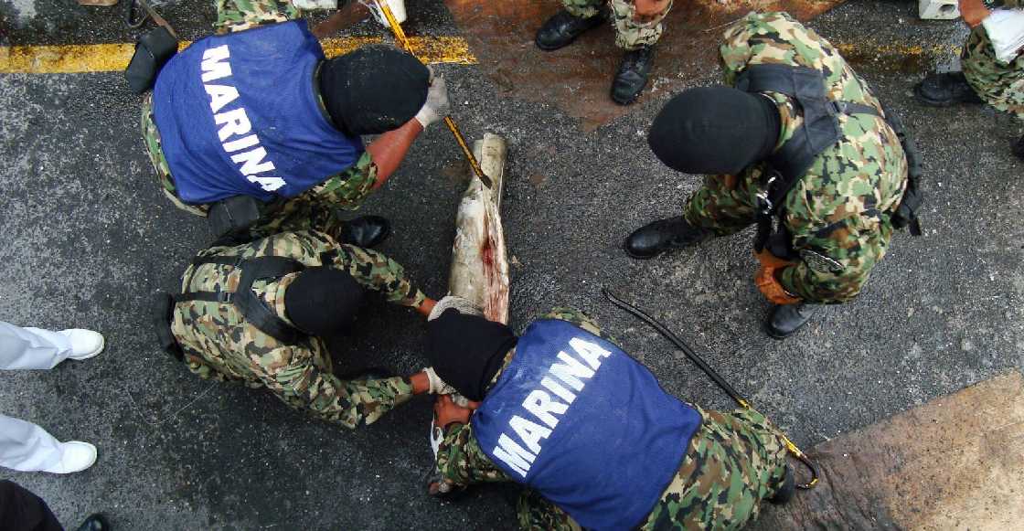 Así es como el Cártel de Sinaloa transportaba cocaína hacia México en tiburones congelados