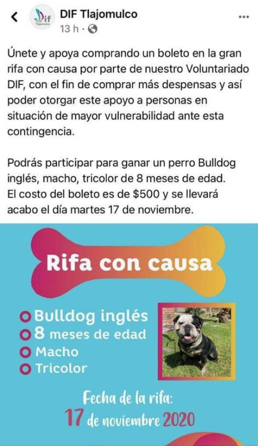 Y en Jalisco: DIF organiza rifa de un perrito para comprar despensas
