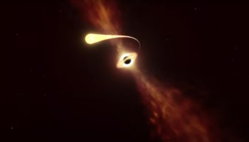 Así es como una agujero negro supermasivo absorbe y destruye a una estrella