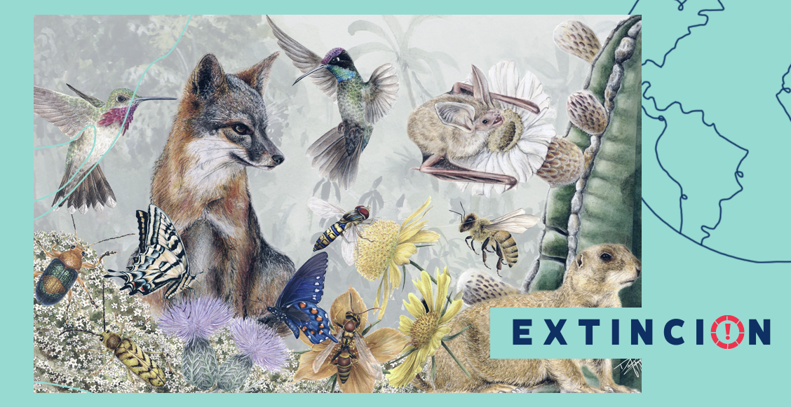 extincion-superheroinas-protegiendo-la-naturaleza