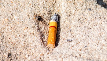fumar-cigarros-colillas-playas-mexico-propuesta-diputados