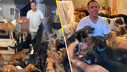 Hombre resguarda a perritos callejeros en su casa por el huracán Delta