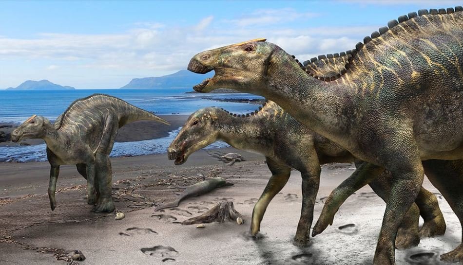 ¡OLV! Niño descubre huesos de dinosaurio con más de 69 millones de años
