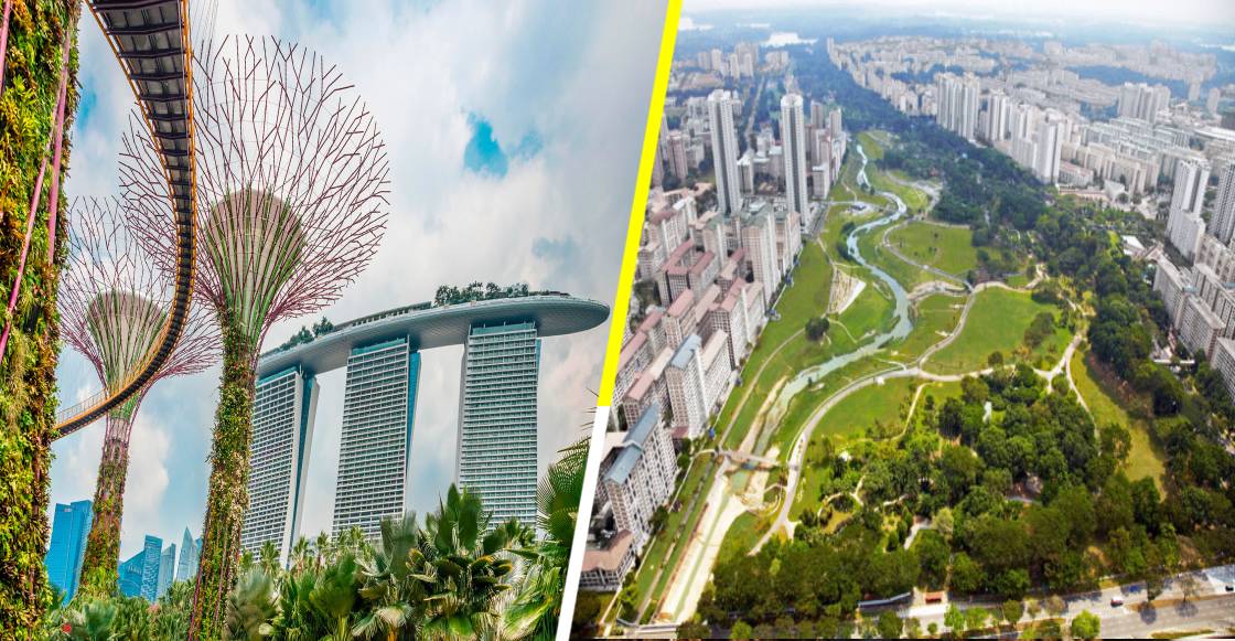 El increíble y ambicioso plan de Singapur para plantar un millón de árboles