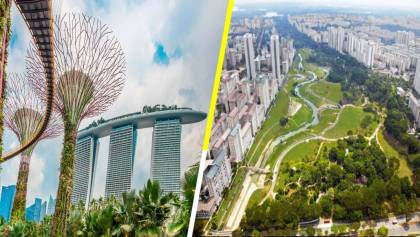 El increíble y ambicioso plan de Singapur para plantar un millón de árboles