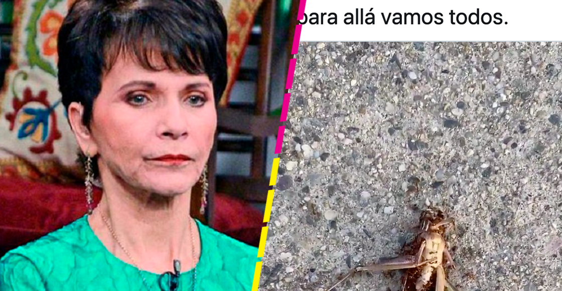 ¿Para allá vamos todos? Pati Chapoy nos recuerda que todos moriremos con un 'estraño' tuit