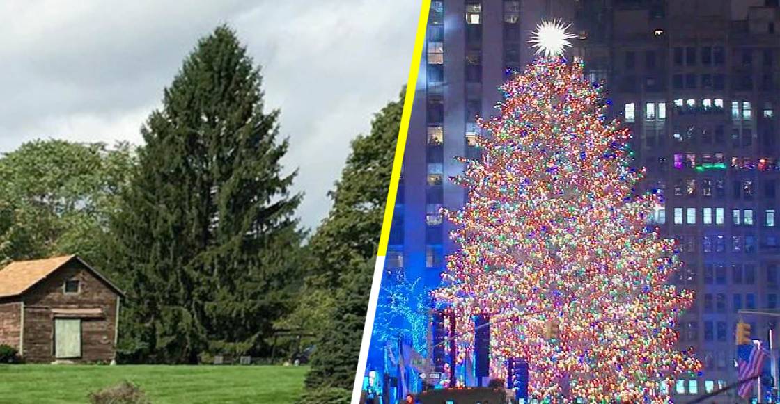 El tradicional árbol de Navidad llega a Nueva York para dar un poco de esperanza