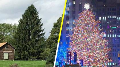 El tradicional árbol de Navidad llega a Nueva York para dar un poco de esperanza