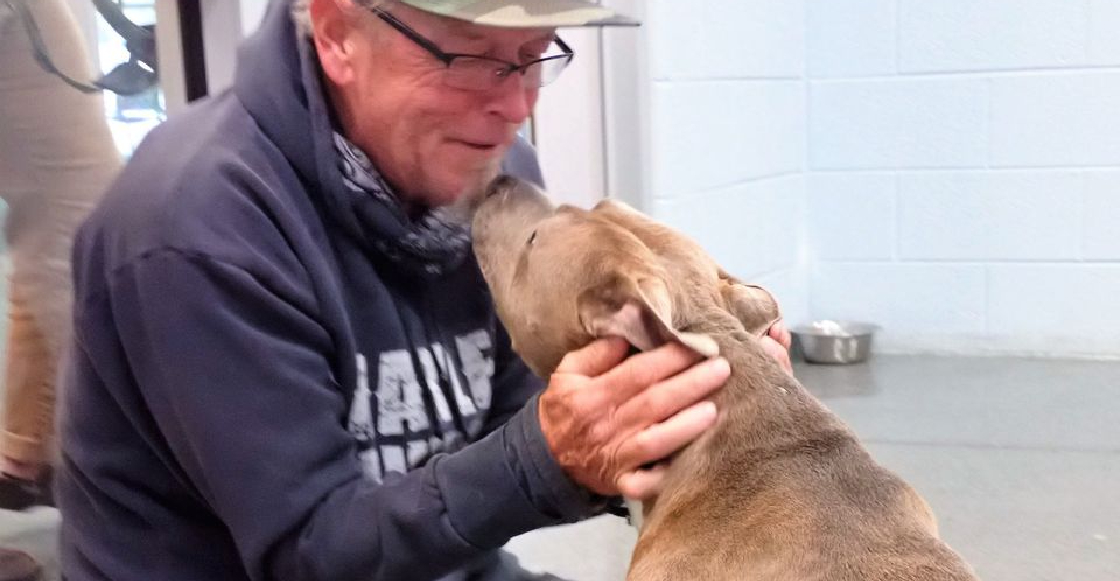Un hombre y su perro se reúnen tras 200 días separados y su reacción es maravillosa