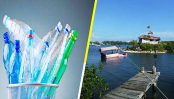 ‘Isla Joysxee’: El paraíso de Cancún construido con 150 mil botellas de plástico