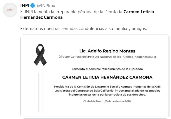 Carmen leticia hernandez diputada morena 2