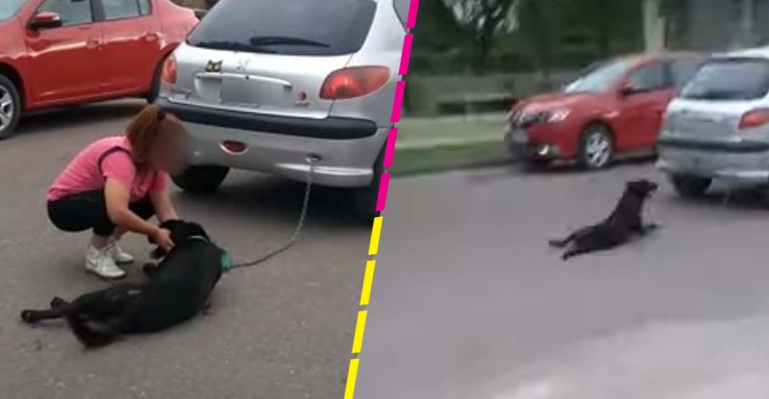 Mujer encadena a su perro al auto y lo arrastra por calles de Argentina