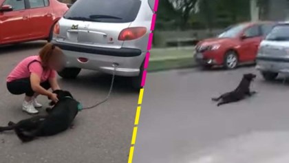 Mujer encadena a su perro al auto y lo arrastra por calles de Argentina