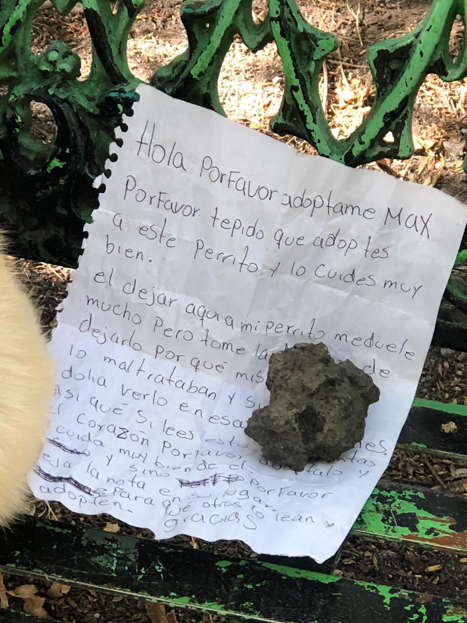 "Por favor, adóptame": Abandonan al perrito Max con una carta en una banca de la CDMX