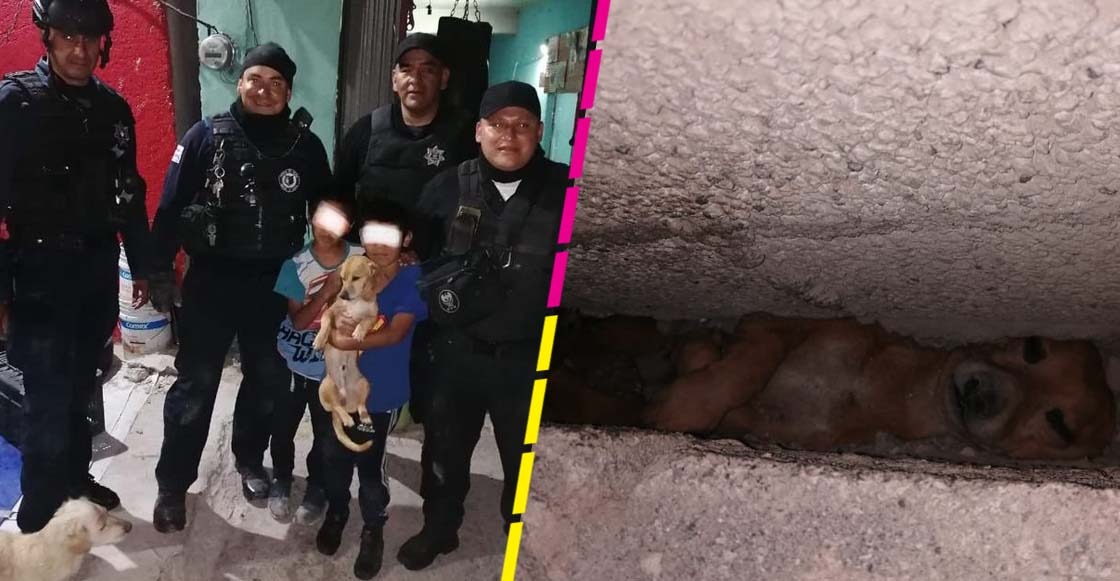 Se rifaron: Policías de Neza rescatan a un perrito que quedó atrapado entre dos muros