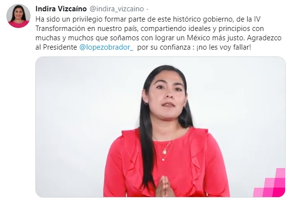 superdelegados renuncias 1