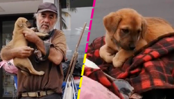 Don Miguel y Traviesa: Abuelito en situación de calle pide ayuda para encontrar a su perrita