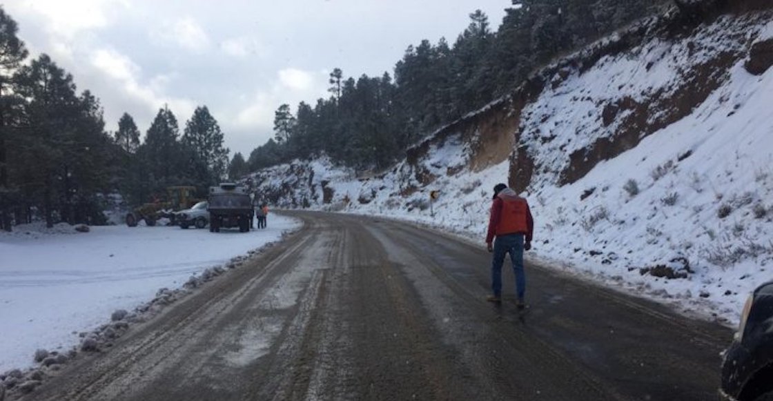 chihuahua-nieve-tormenta