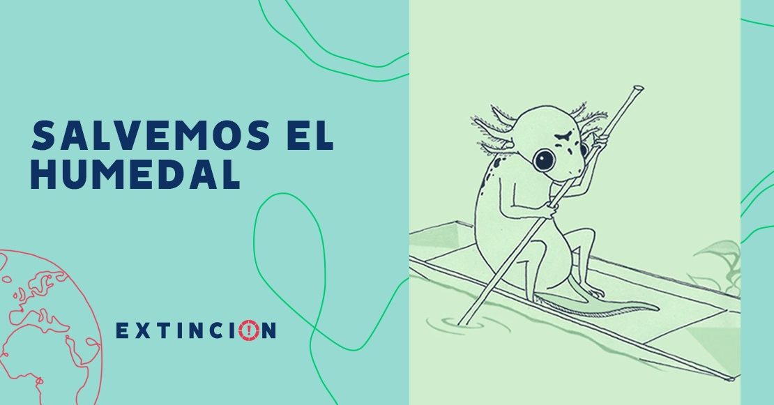 salvemos-humedal-xochimilco