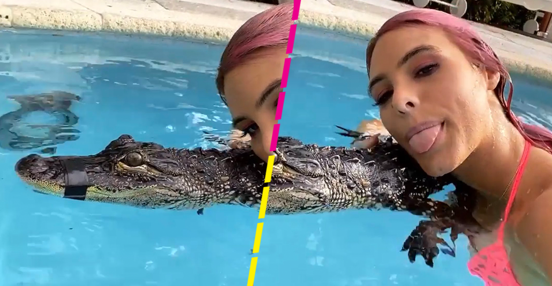 Critican a Lele Pons por nadar en una alberca con un cocodrilo amordazado