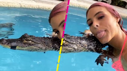 Critican a Lele Pons por nadar en una alberca con un cocodrilo amordazado