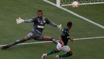 Palmeiras es campeón de la Copa Libertadores y posible rival de Tigres en Mundial de Clubes