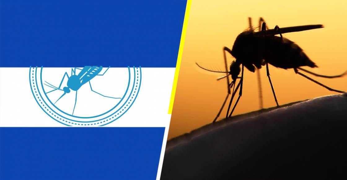 El Salvador se convierte el primer país de Centroamérica en erradicar la malaria