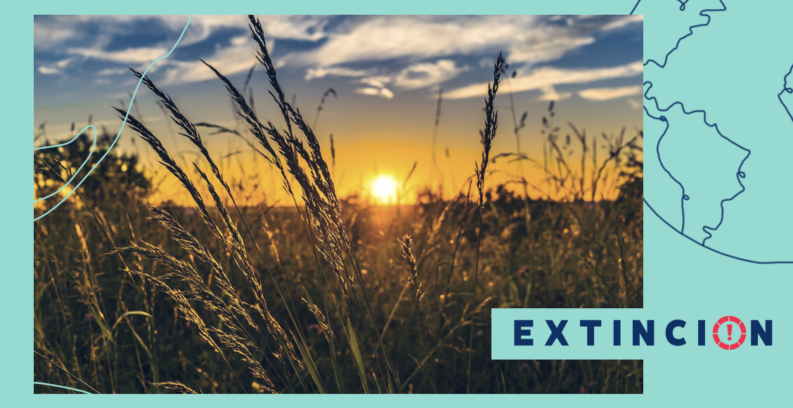 extincion-agricultura-climaticamente-inteligente-cambio