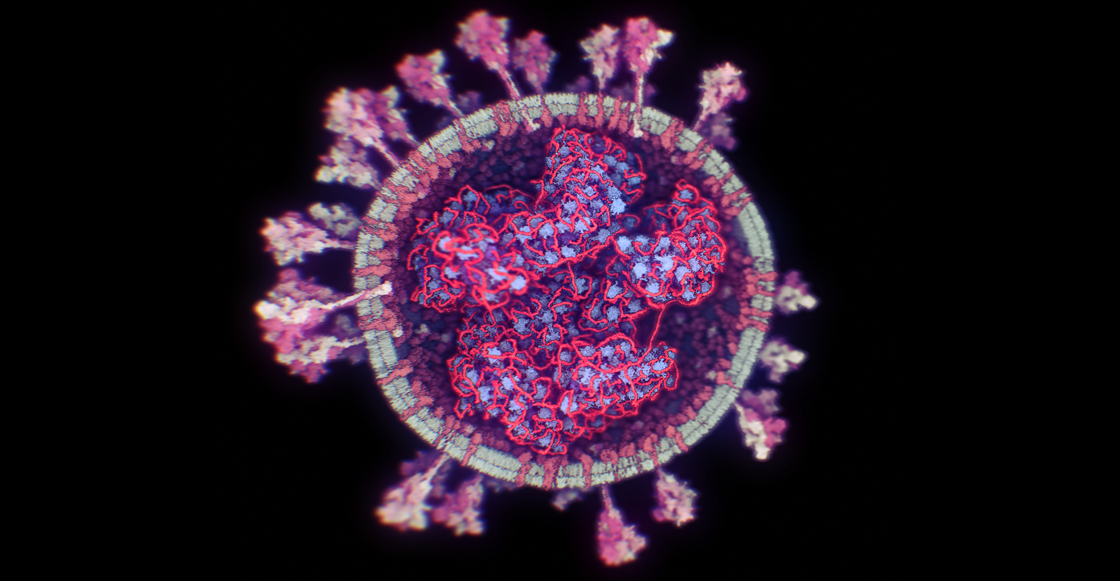 imagenes-foto-coronavirus-3d-covid-sars-cov-2-hd-molecular-02