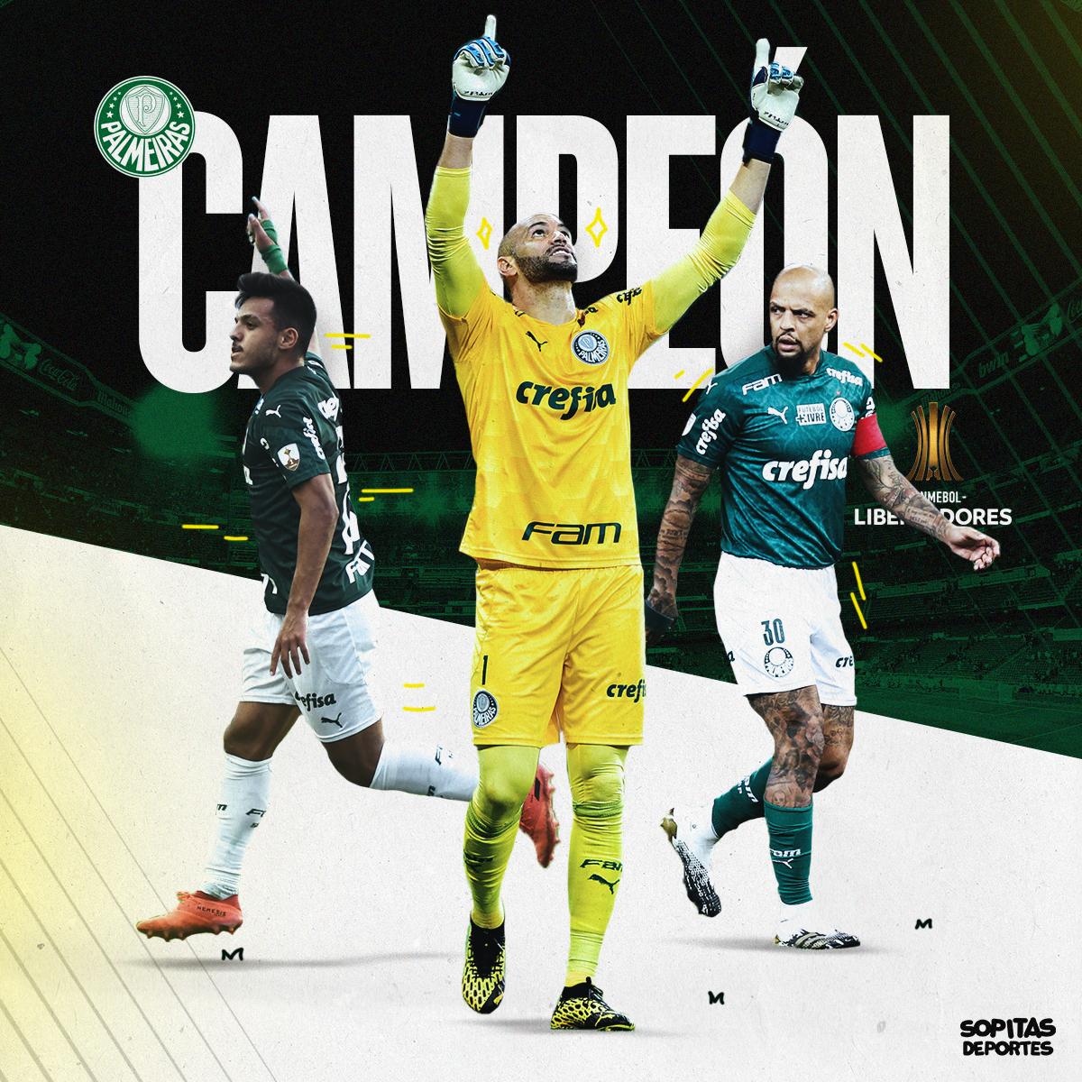 Palmeiras campeón copa libertadores