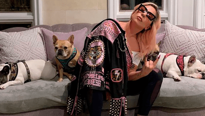 Atacan a paseador de los perros de Lady Gaga para secuestrar a sus mascotas