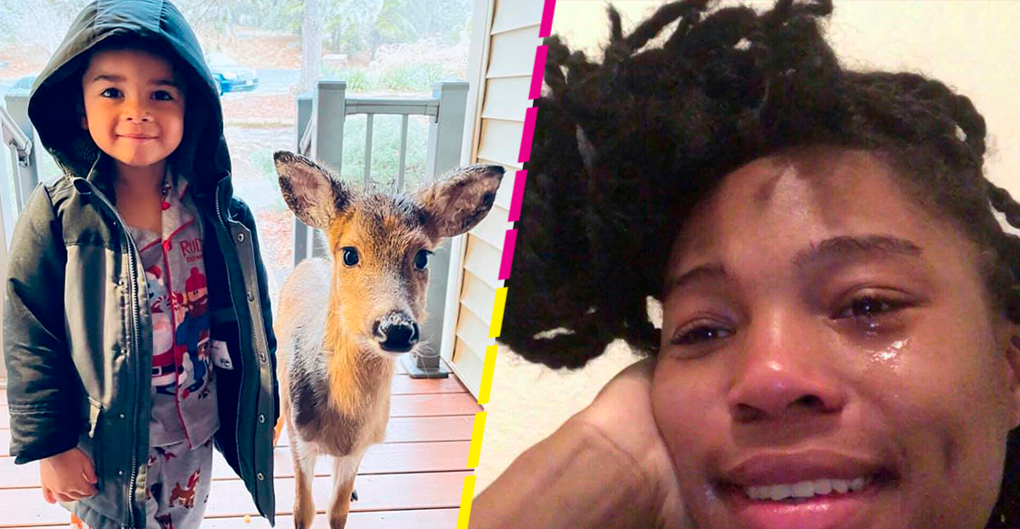 Mueran de ternura: Niño sale a pasear por el bosque y regresa con un ciervo