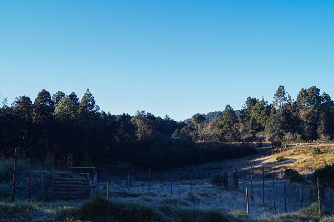  altos-de-chiapas-vacunacion-coronavirus