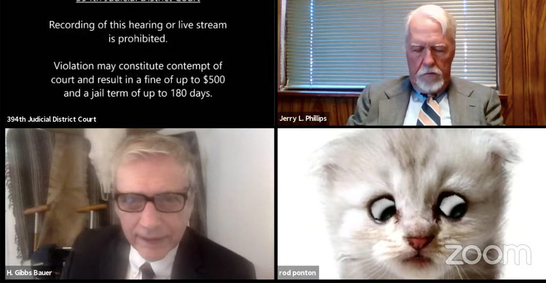 audiencia-gatito-filtro-zoom