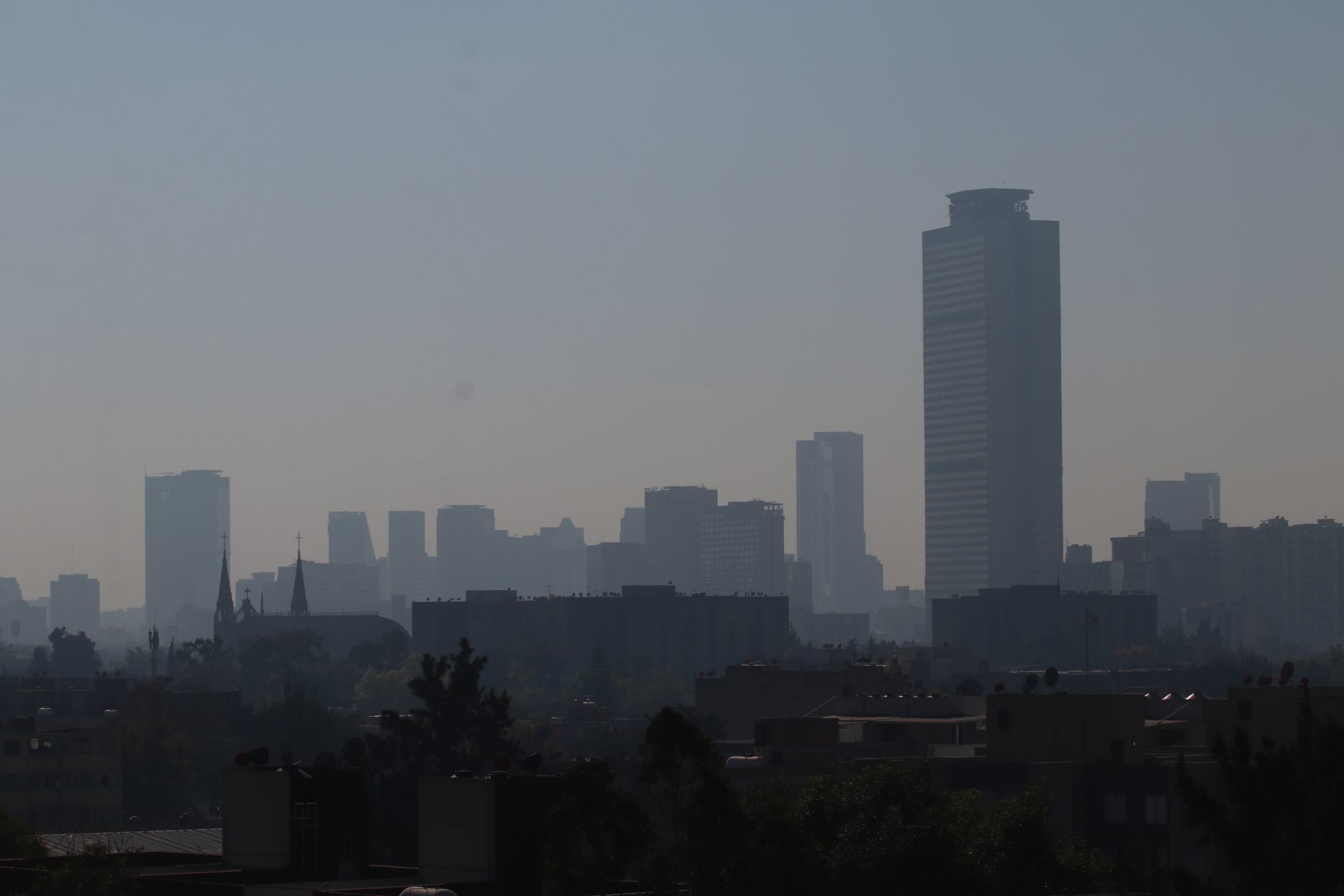 ¿Por qué personas recuperadas de COVID deben cuidarse de la 'temporada de ozono'