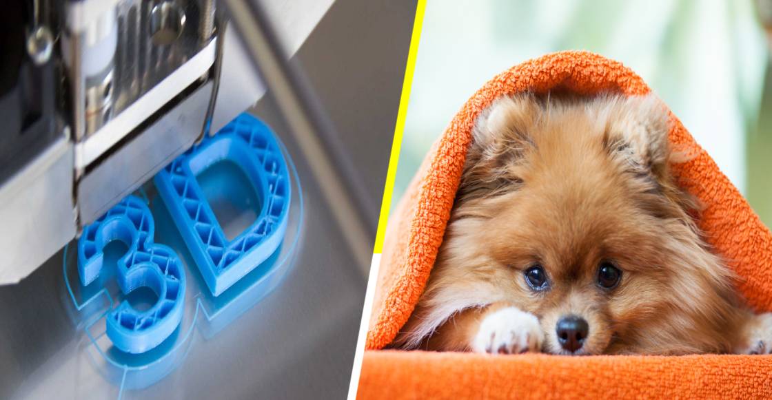¡Guau! Un dispositivo en impresión 3D, se vuelve ‘la guía’ de un perro ciego