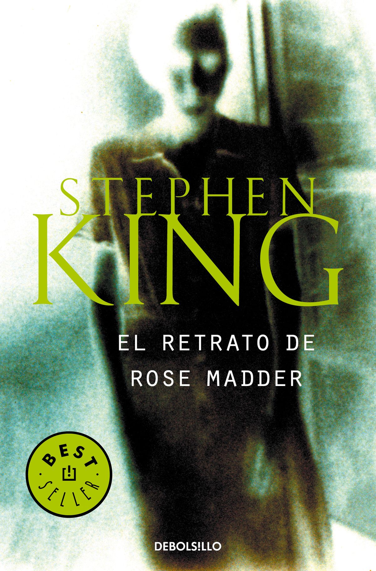 El retrato de Rose Madder de Stephen King