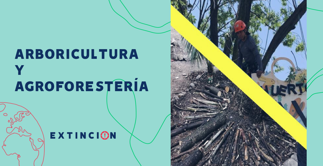 extincion-arboricultura-agroforesteria-sanar-arboles-capitalinos