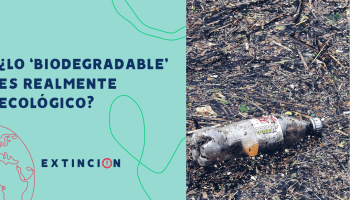 extincion-biodegradable-es-realmente-ecologico