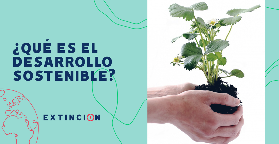 extincion-que-es-el-desarrollo-sostenible
