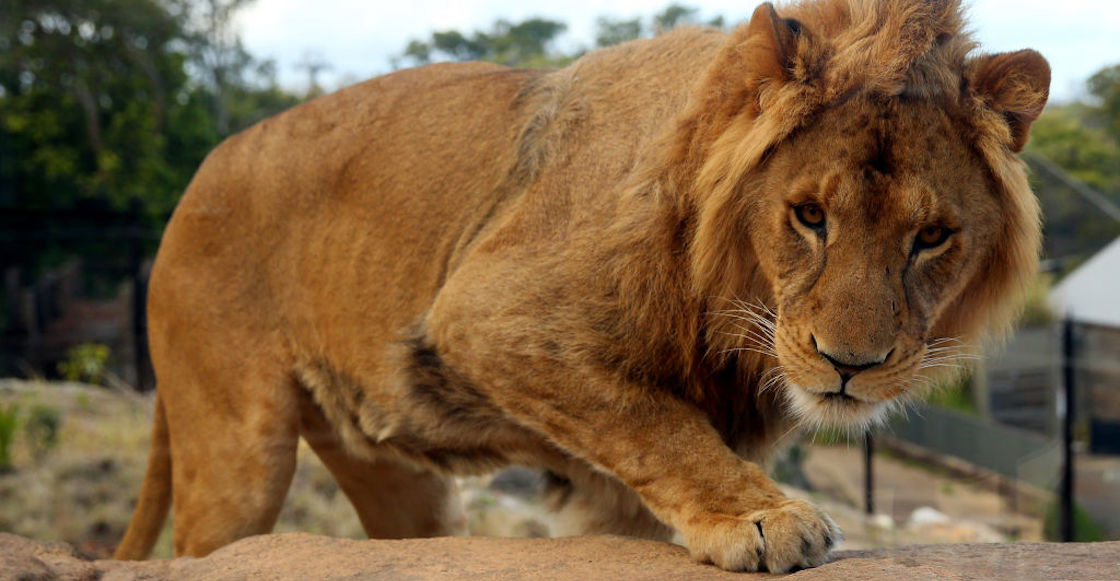 encuentran-leon-calles-ecatepec